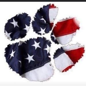 Meet your Posher, Lewis